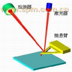 原子力显微镜(AFM)示意图