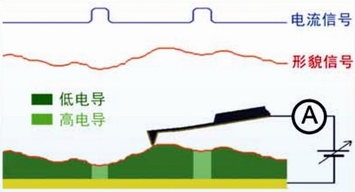 导电原子力显微镜原理图