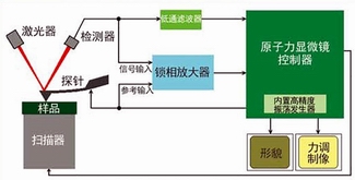 AFM力调制模式成像技术原理图